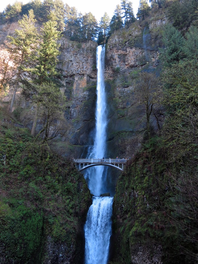 Multnomah Falls during our pre-race warmup, 4/1/16.