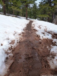 A muddy mess on the Mesa Trail. What happens when 2ft of snow melts very quickly, 4/20/13.