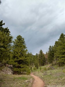 Dark clouds looming ahead, thunder abounds as I climb up Spring Creek for the final time, mile 42.
