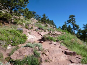 Beautiful day on the Mt Sanitas trail, somewhere in the middle of a 6 lap adventure, 5/25/13.