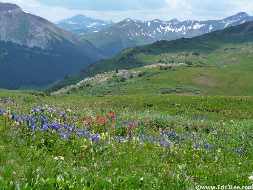 One of many stunning scenes, mountains and flowers along the Maroon Bells Four Pass Loop.