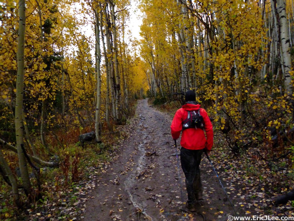 Cruising through the changing fall colors between Beaver Campground and Ranger Dip, its a muddy mess.