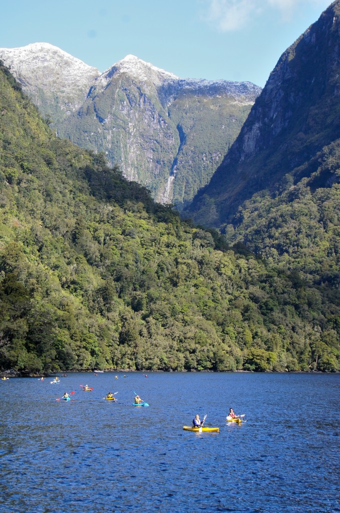 Kayaking in Doubtful Sound, makes one feel small.
