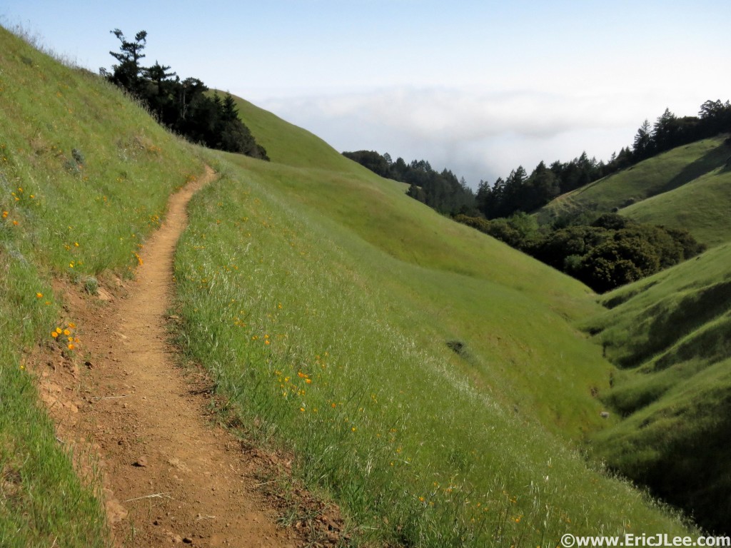 Rolling hillsides, poppies and sunshine along the Coastal trail. A great place to take it easy and just cruise along.