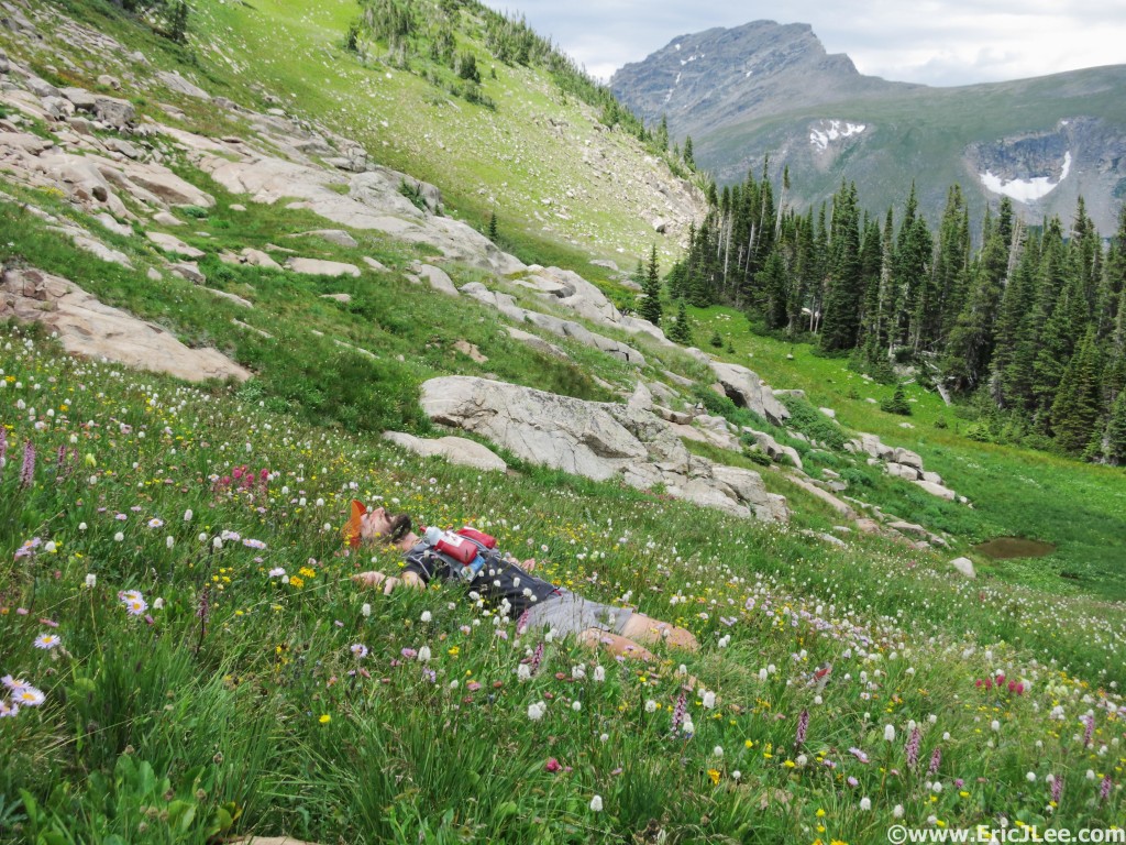 Jon laying in a field of flowers near Diamond Lake in the Indian Peaks.