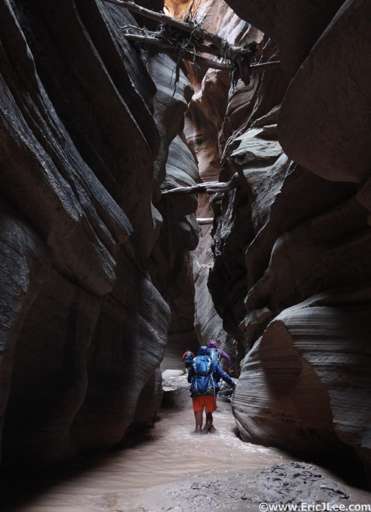 The dark narrows of Buckskin Gulch. Just think about how those logs got there...