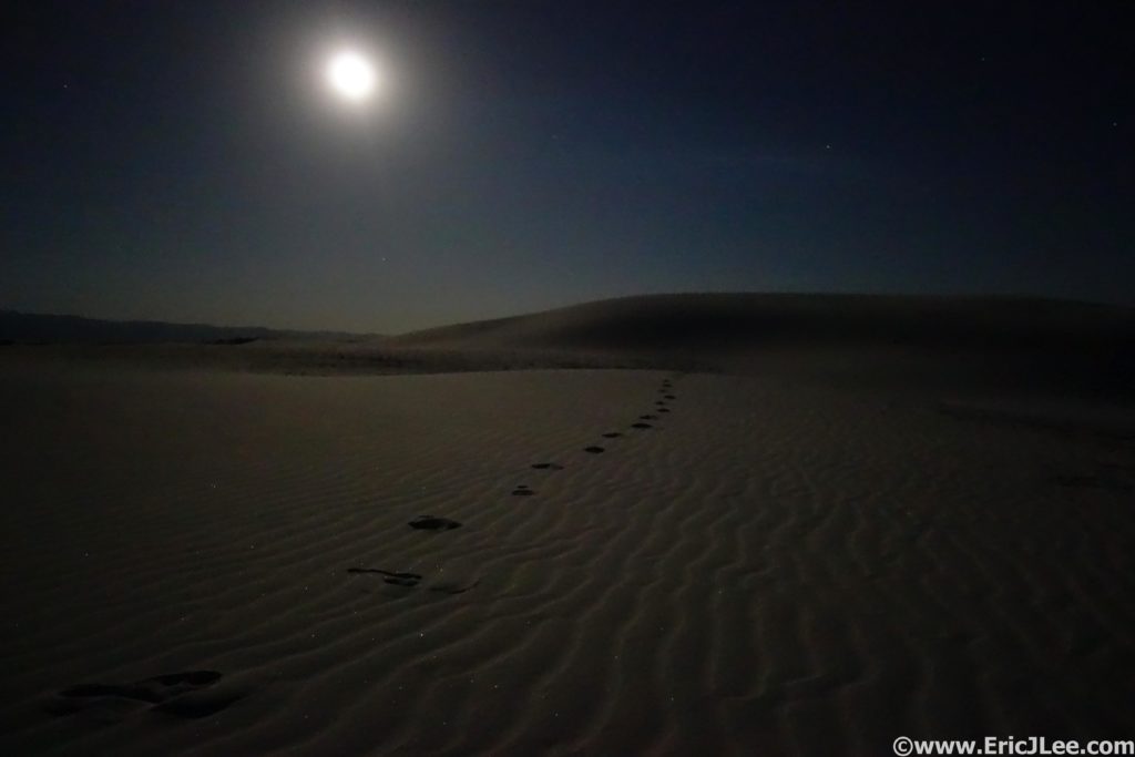 Walking by moonlight at White Sands National Monument.